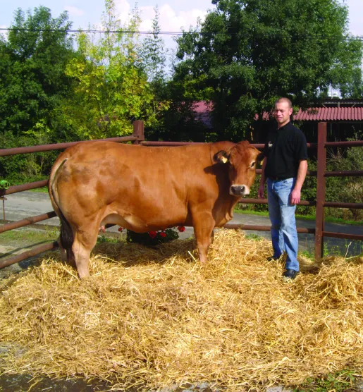 boucherie traditionnelle à Sainte-Cécile en Vendée 85